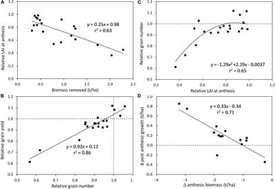 Interactions of Spring Cereal Genotypic Attributes and Recovery of Grain Yield After Defoliation